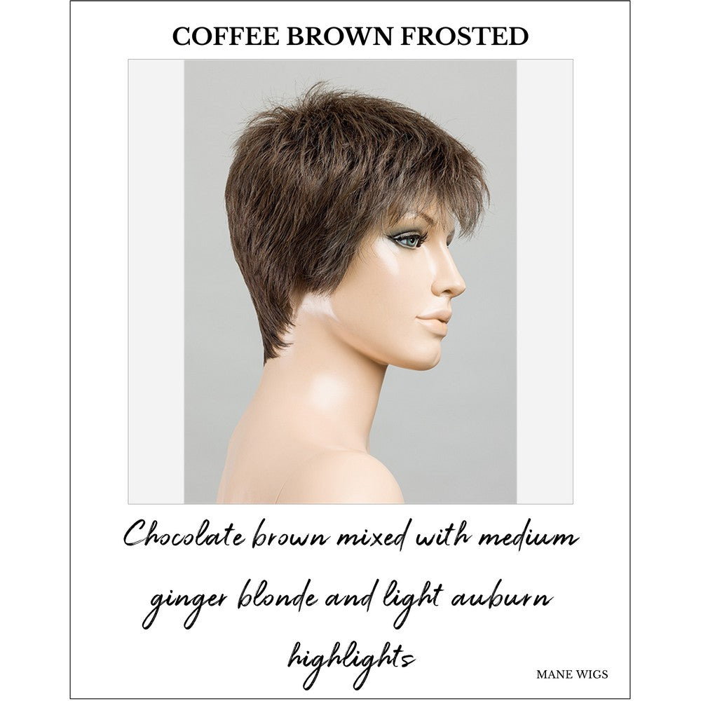 Chat by Ellen Wille in Coffee Brown Frosted-Chocolate brown mixed with medium ginger blonde and light auburn highlights