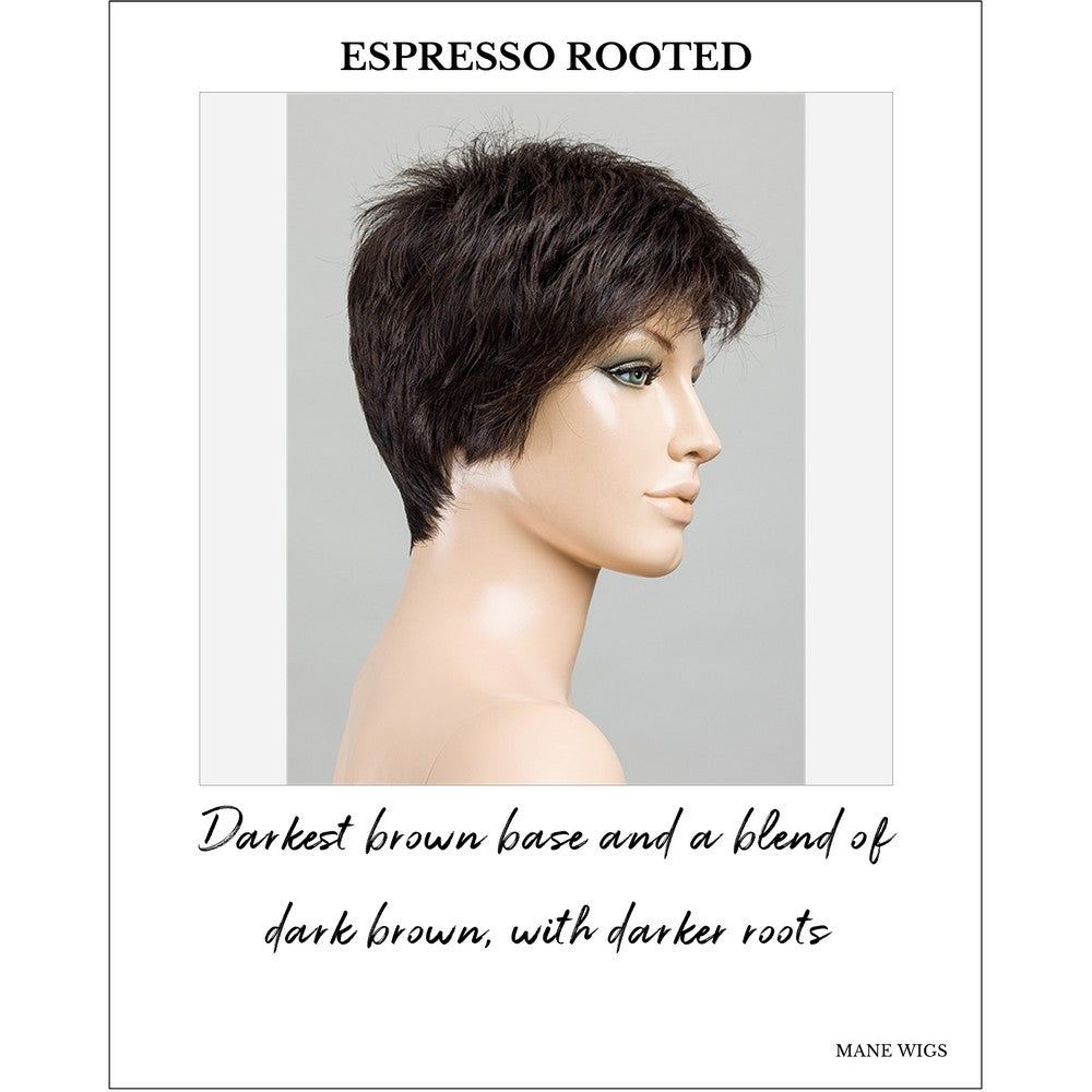 Chat by Ellen Wille in Espresso Rooted-Darkest brown base and a blend of dark brown, with darker roots