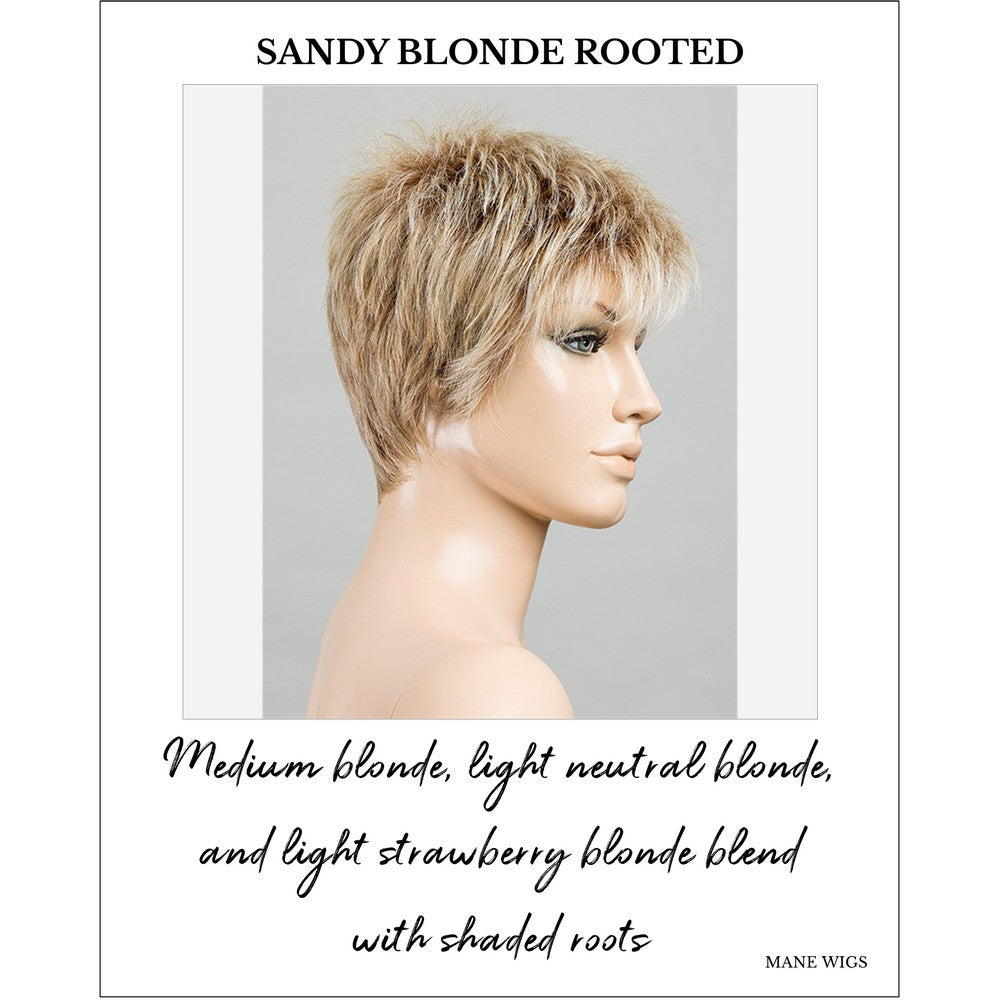 Chat by Ellen Wille in Sandy Blonde Rooted-Medium blonde, light neutral blonde, and light strawberry blonde blend with shaded roots
