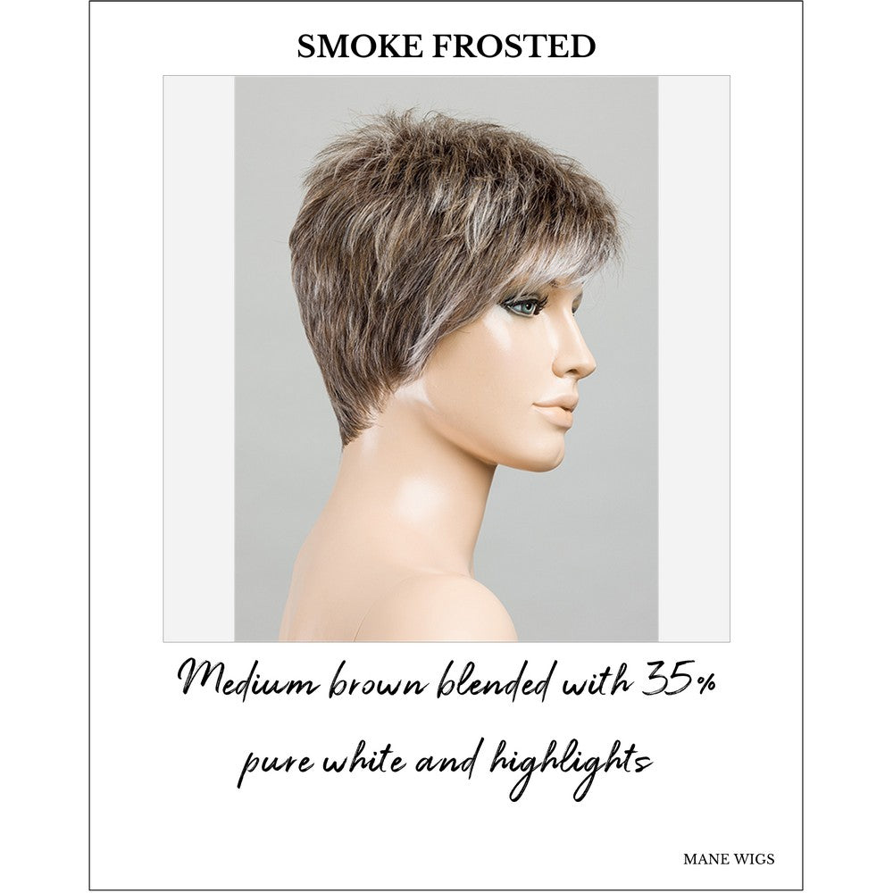Chat by Ellen Wille in Smoke Frosted-Medium brown blended with 35% pure white and highlights
