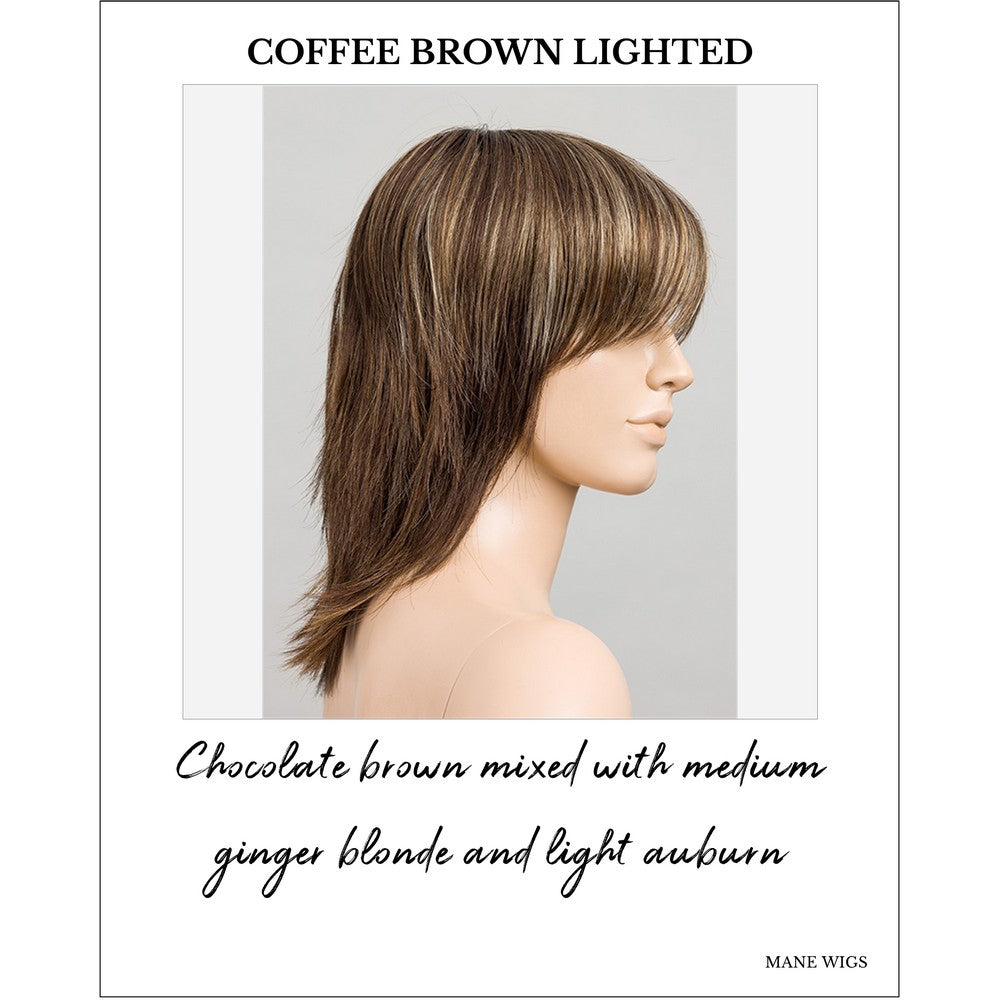 Rainbow by Ellen Wille in Coffee Brown Lighted-Chocolate brown mixed with medium ginger blonde and light auburn