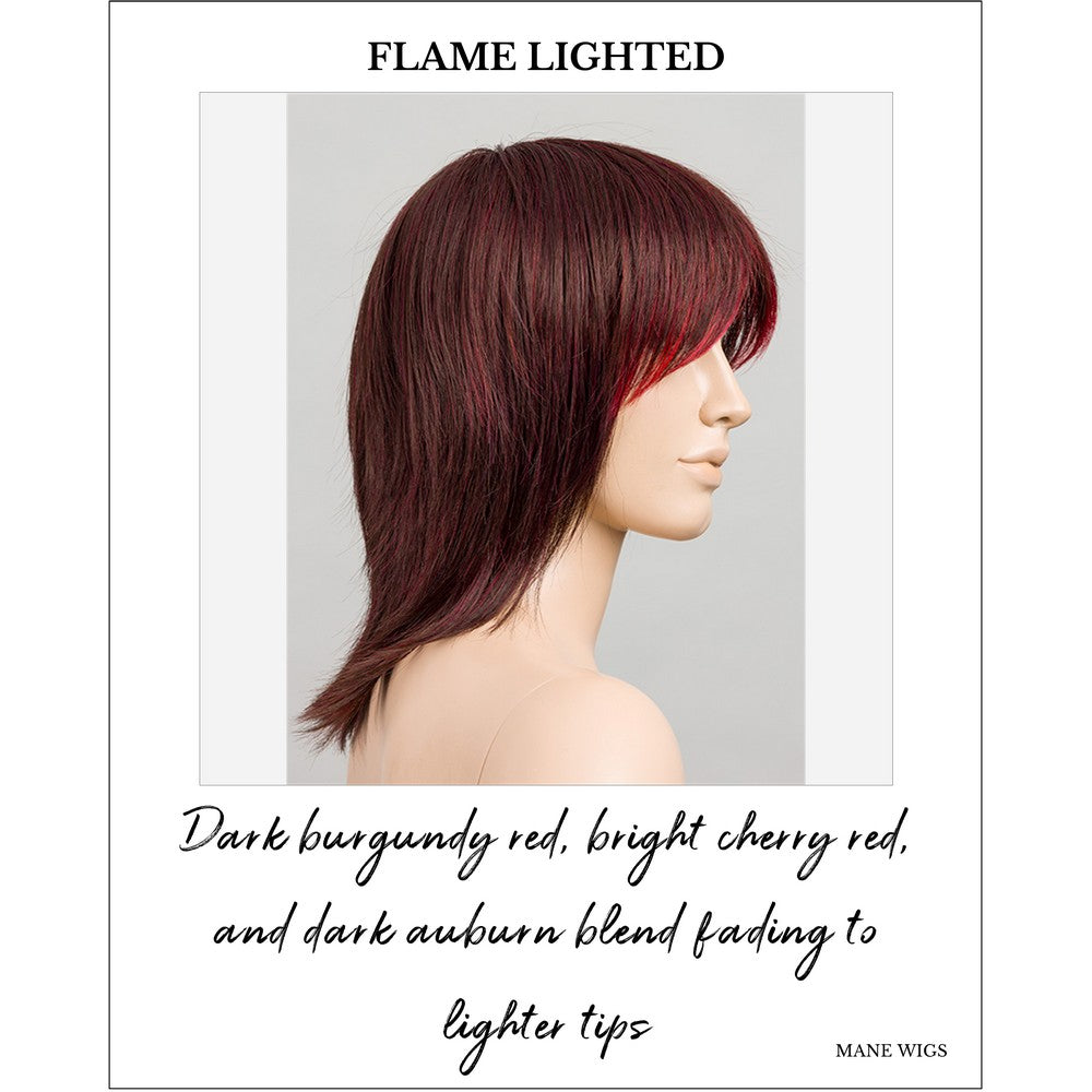 Rainbow by Ellen Wille in Flame Lighted-Dark burgundy red, bright cherry red, and dark auburn blend fading to lighter tips