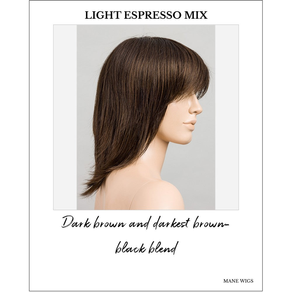 Rainbow by Ellen Wille in Light Espresso Mix-Dark brown and darkest brown-black blend