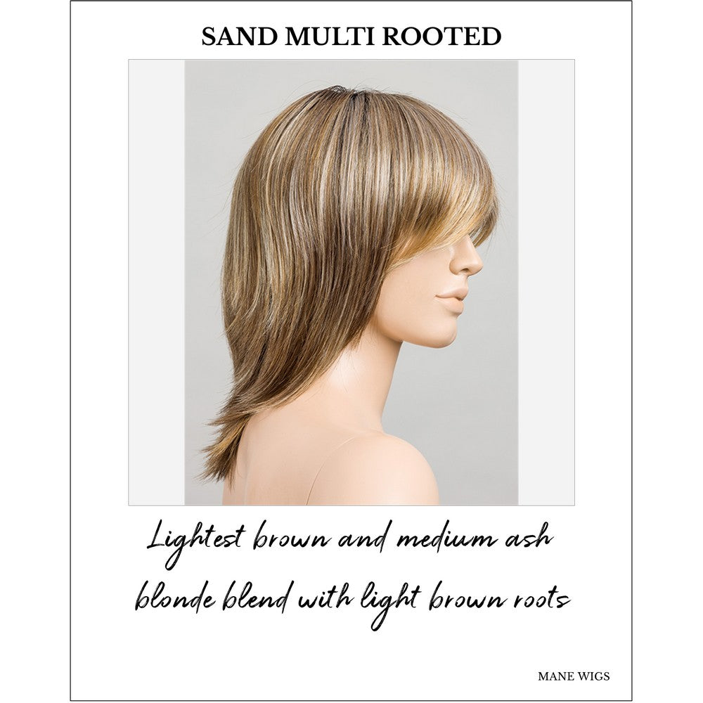 Rainbow by Ellen Wille in Sand Multi Rooted-Lightest brown and medium ash blonde blend with light brown roots