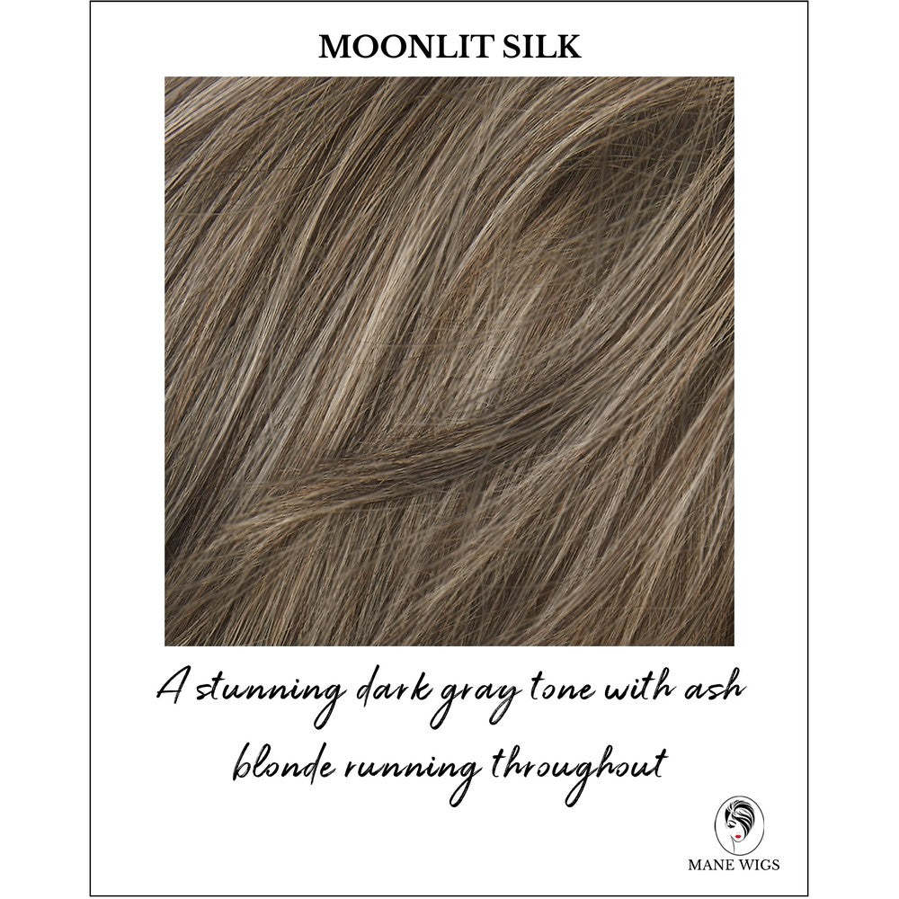 Moonlit Silk -A stunning dark gray tone with ash blonde running throughout