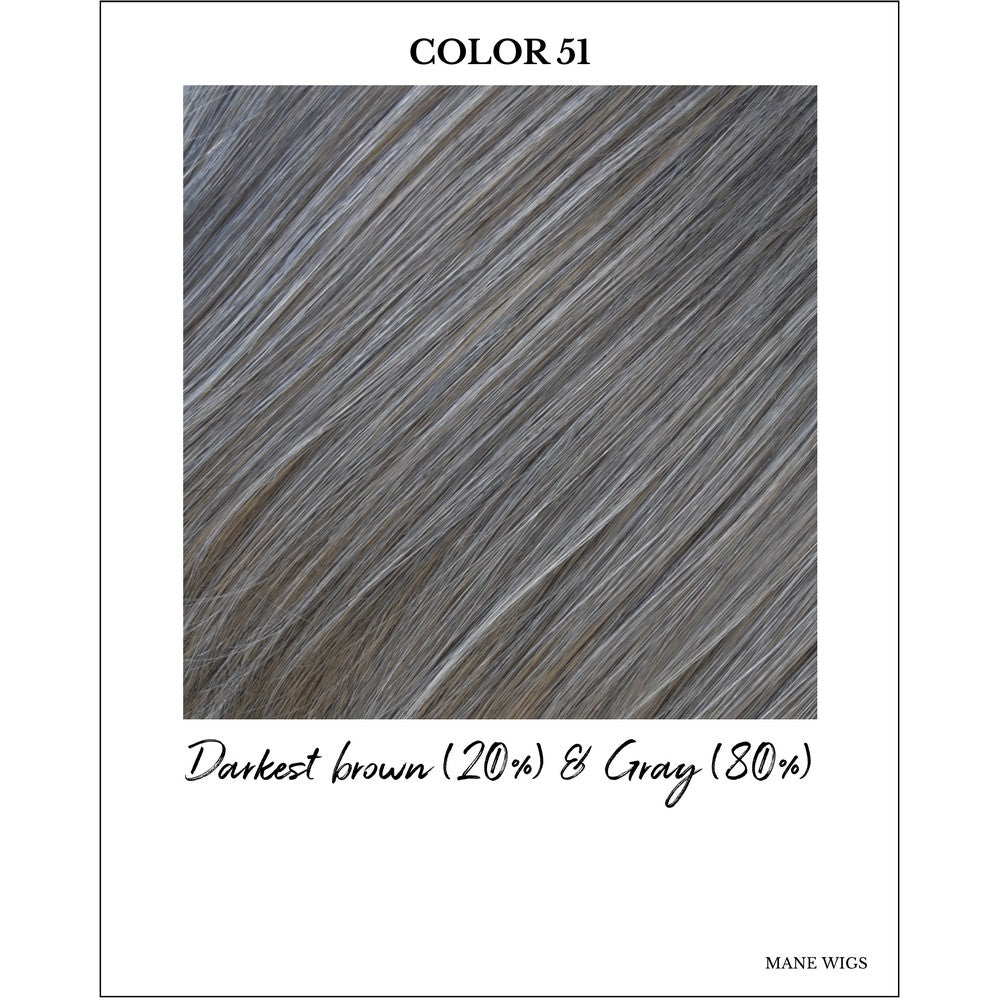 COLOR 51-Darkest brown (20%) & Gray (80%)