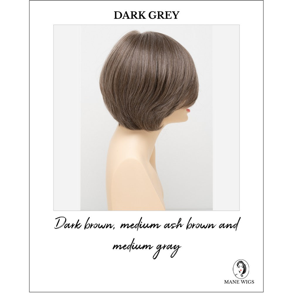 Abbey By Envy in Dark Grey-Dark brown, medium ash brown and medium gray