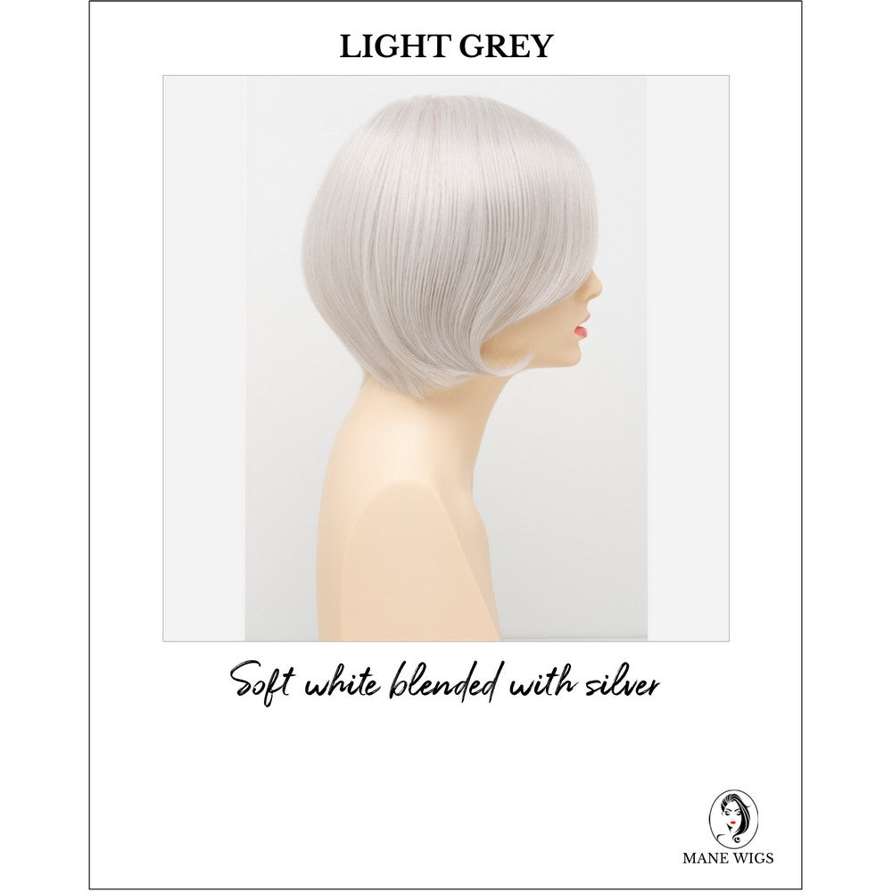 Abbey By Envy in Light Grey-Soft white blended with silver