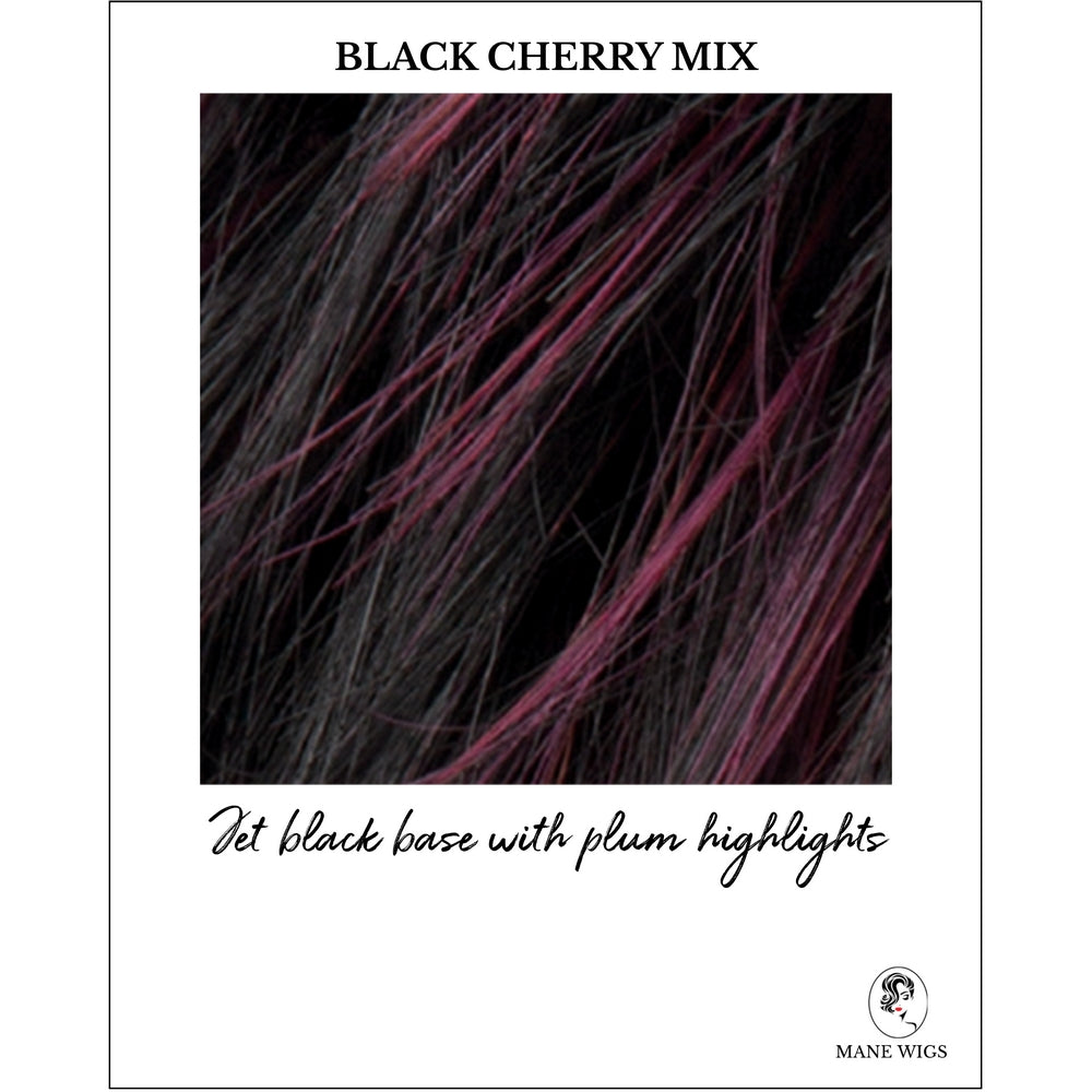 Black Cherry Mix-Jet black base with plum highlights