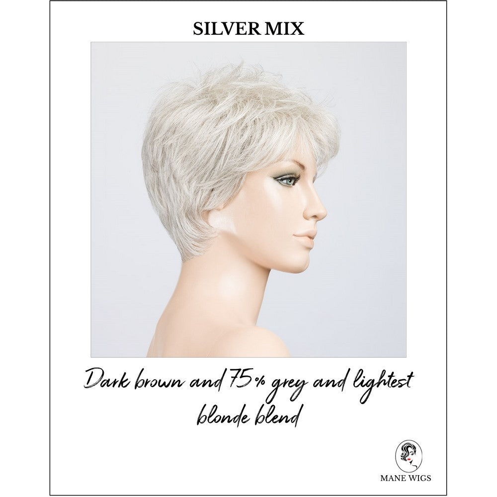 Bliss by Ellen Wille in Silver Mix-Dark brown and 75% grey and lightest blonde blend