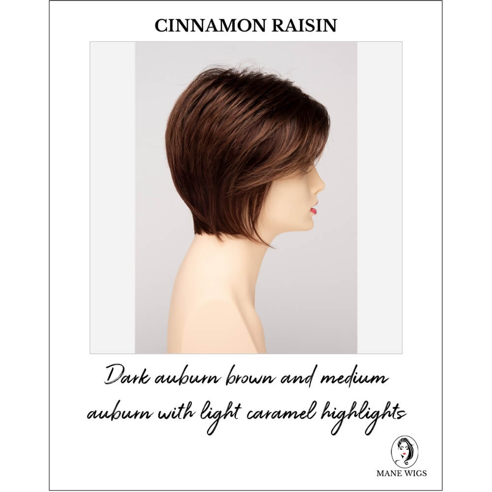 Cinnamon Raisin-Dark brown and medium auburn with light caramel highlights