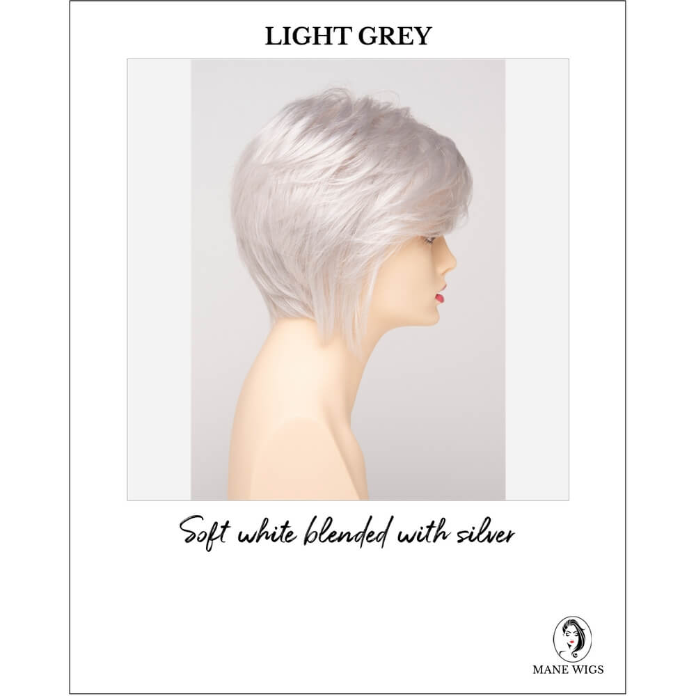 Light Grey-Soft white blended with silver