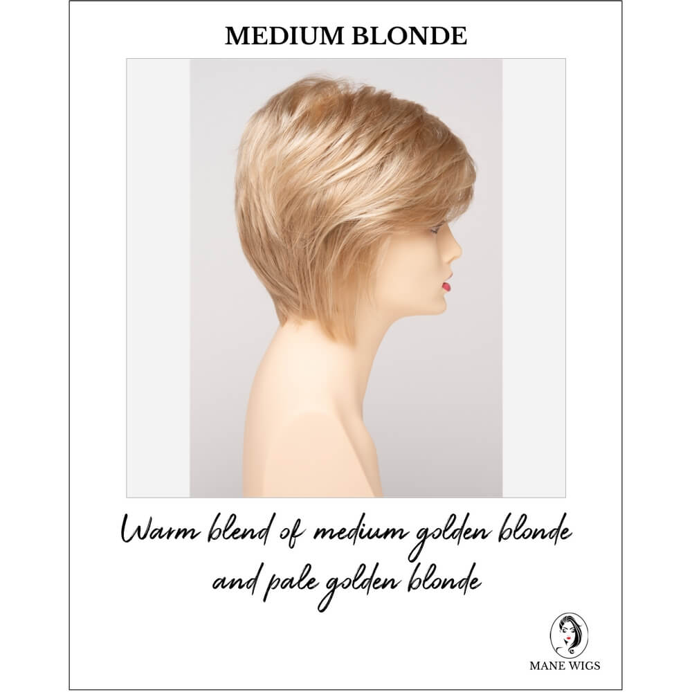 Medium Blonde-Warm blend of medium golden blonde and pale golden blonde