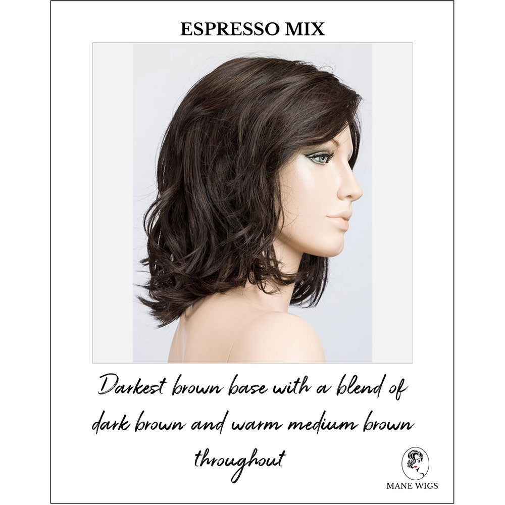 Delight Mono by Ellen Wille in Espresso Mix-Darkest brown base with a blend of dark brown and warm medium brown throughout