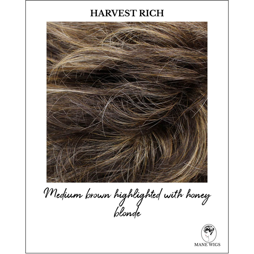 Harvest Rich-Medium brown highlighted with honey blonde