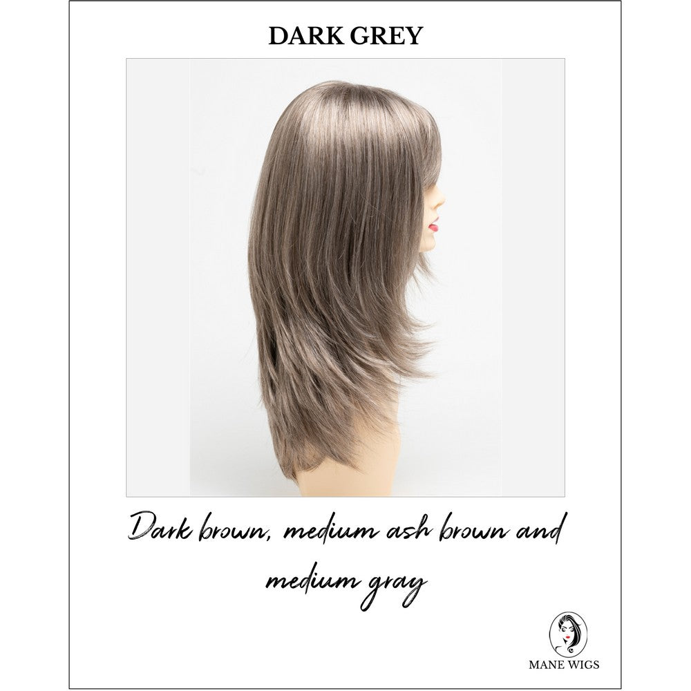 Kate by Envy in Dark Grey-Dark brown, medium ash brown and medium gray