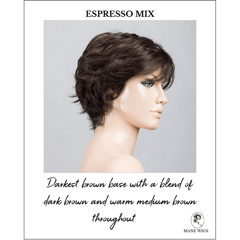 Relax by Ellen Wille in Espresso Mix-Darkest brown base with a blend of dark brown and warm medium brown throughout