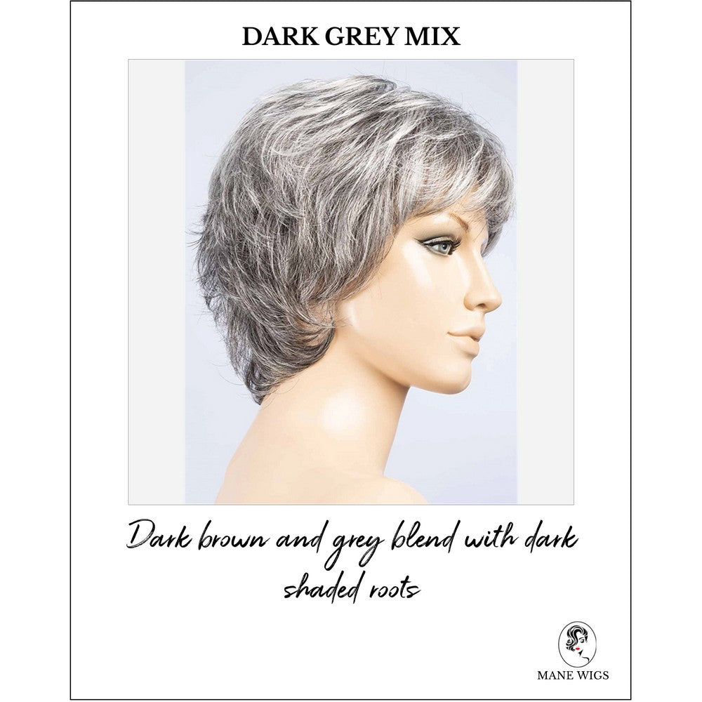 Rica by Ellen Wille in Dark Grey Mix-Dark brown and grey blend with dark shaded roots