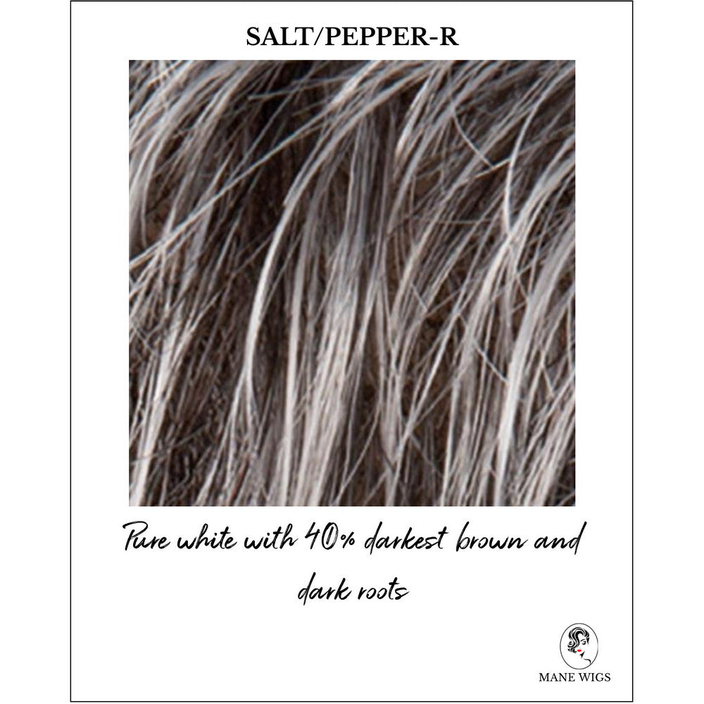 Salt/Pepper-R-Pure white with 40% darkest brown and dark roots