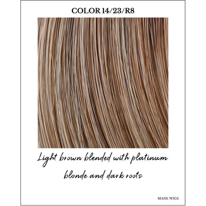 Blondie Chai (14/23/R8)-Light brown blended with platinum blonde and dark roots