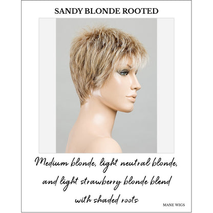 Chat by Ellen Wille in Sandy Blonde Rooted-Medium blonde, light neutral blonde, and light strawberry blonde blend with shaded roots