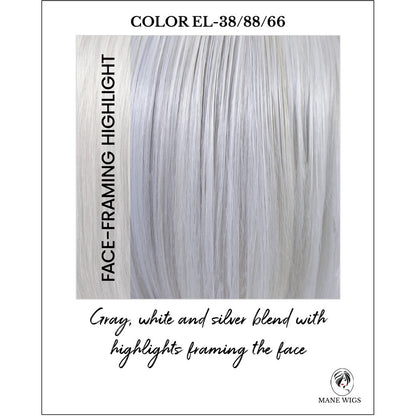 Color EL-38/88/66-Gray, white and silver blend with highlights framing the face