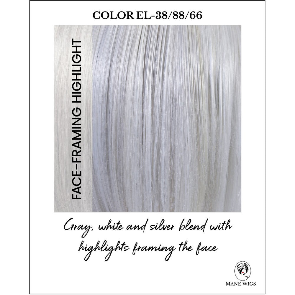 Color EL-38/88/66-Gray, white and silver blend with highlights framing the face