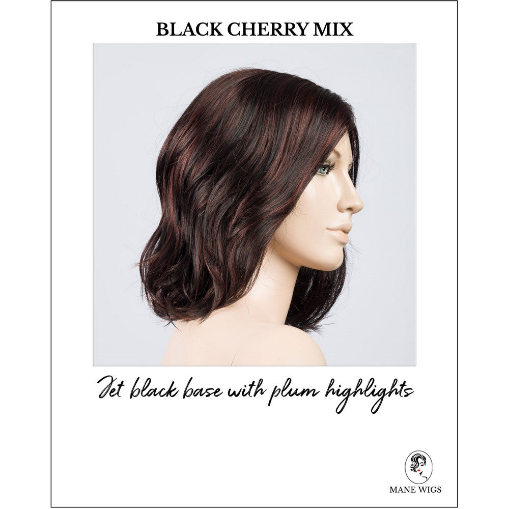 Destiny wig by Ellen Wille in Blackberry Mix-Jet black base with plum highlights