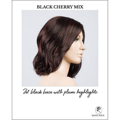 Destiny wig by Ellen Wille in Blackberry Mix-Jet black base with plum highlights