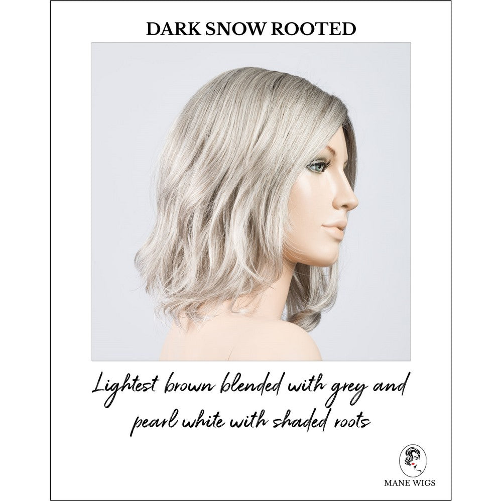 Destiny wig by Ellen Wille in Darksnow Rooted-Lightest brown blended with grey and pearl white with shaded roots
