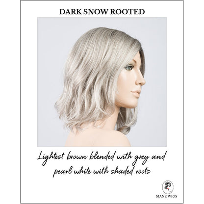 Destiny wig by Ellen Wille in Darksnow Rooted-Lightest brown blended with grey and pearl white with shaded roots