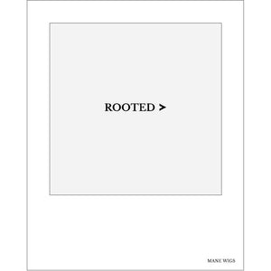 Divider for Rooted Colors