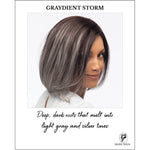 Load image into Gallery viewer, Jamison by Estetica wig in GRAYDIENT STORM-Deep, dark roots that melt into light gray and silver tones
