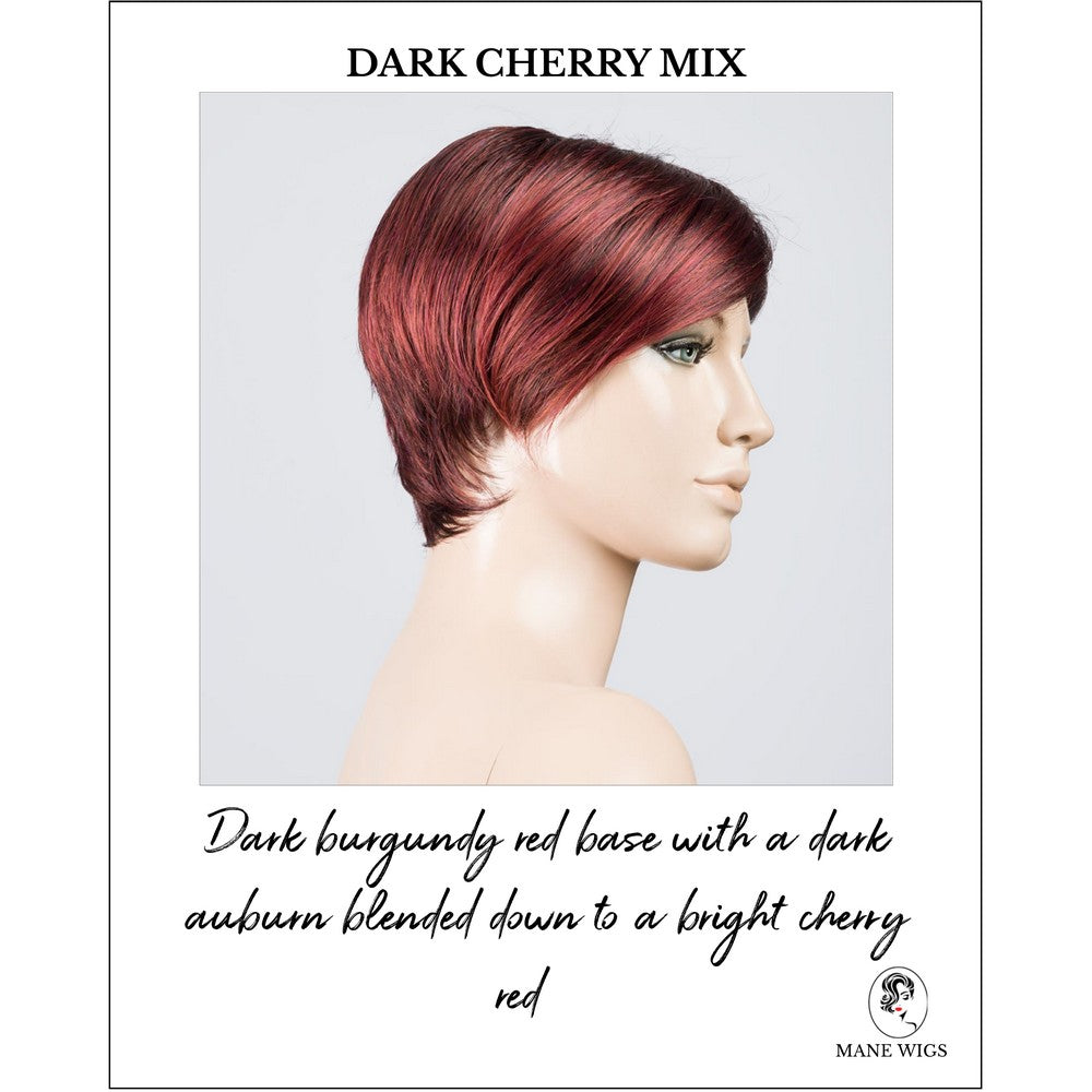 Jump wig by Ellen Wille in Dark Cherry Mix-Dark burgundy red base with a dark auburn blended down to a bright cherry red