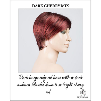 Jump wig by Ellen Wille in Dark Cherry Mix-Dark burgundy red base with a dark auburn blended down to a bright cherry red