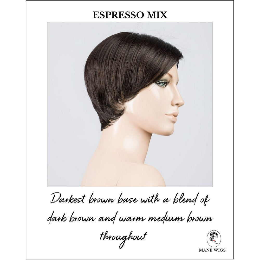 Jump wig by Ellen Wille in Espresso Mix-Darkest brown base with a blend of dark brown and warm medium brown throughout 