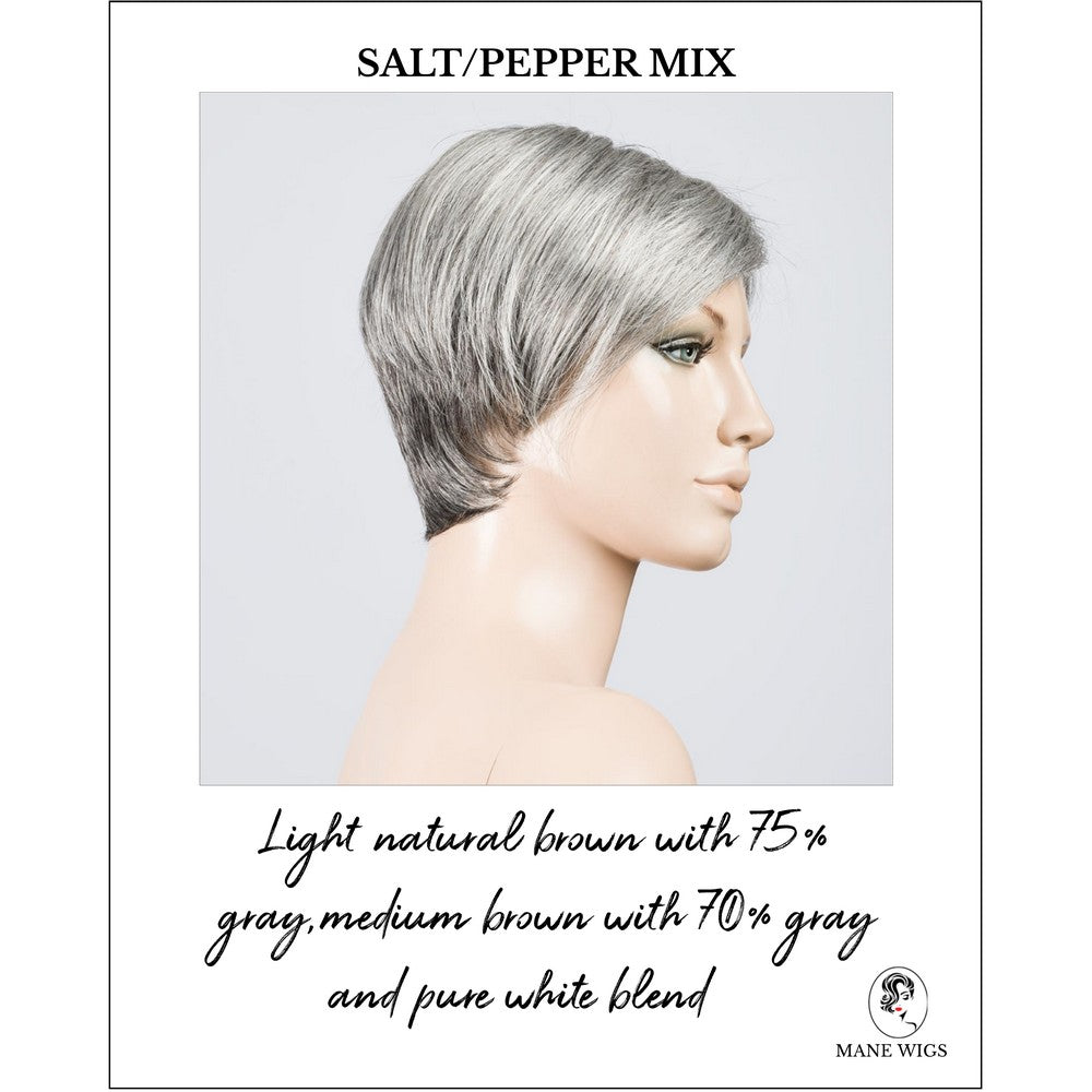 Jump wig by Ellen Wille in Salt/Pepper Mix-Light natural brown with 75% gray,medium brown with 70% gray and pure white blend