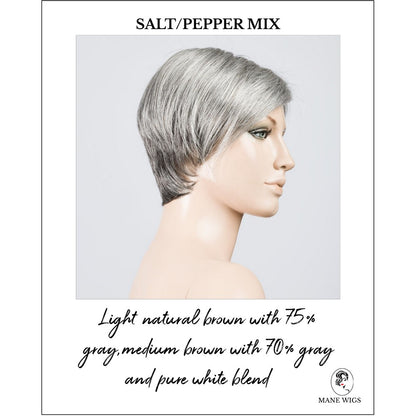 Jump wig by Ellen Wille in Salt/Pepper Mix-Light natural brown with 75% gray,medium brown with 70% gray and pure white blend