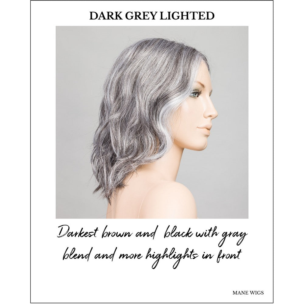 Mila by Ellen Wille in Dark Grey Lighted-Darkest brown and  black with gray blend and more highlights in front