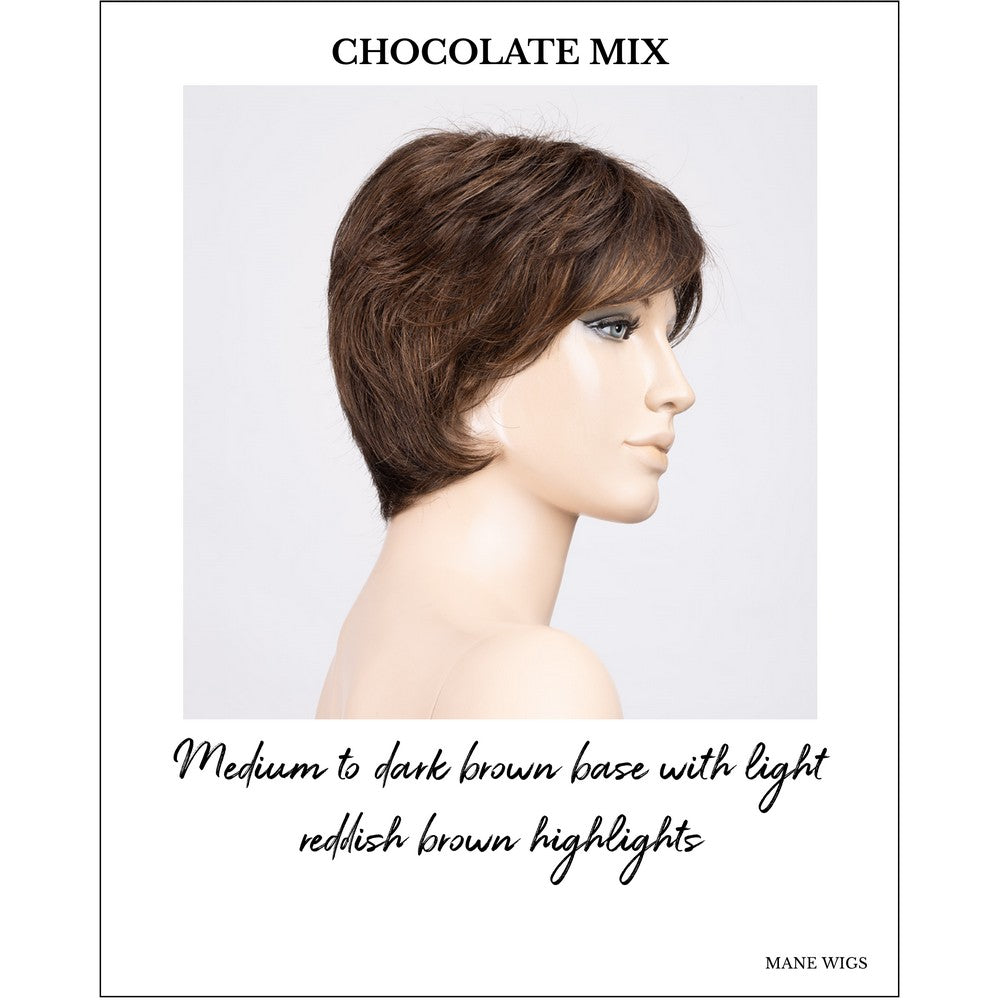 Prima Soft by Ellen Wille in Chocolate Mix-Medium to dark brown base with light reddish brown highlights