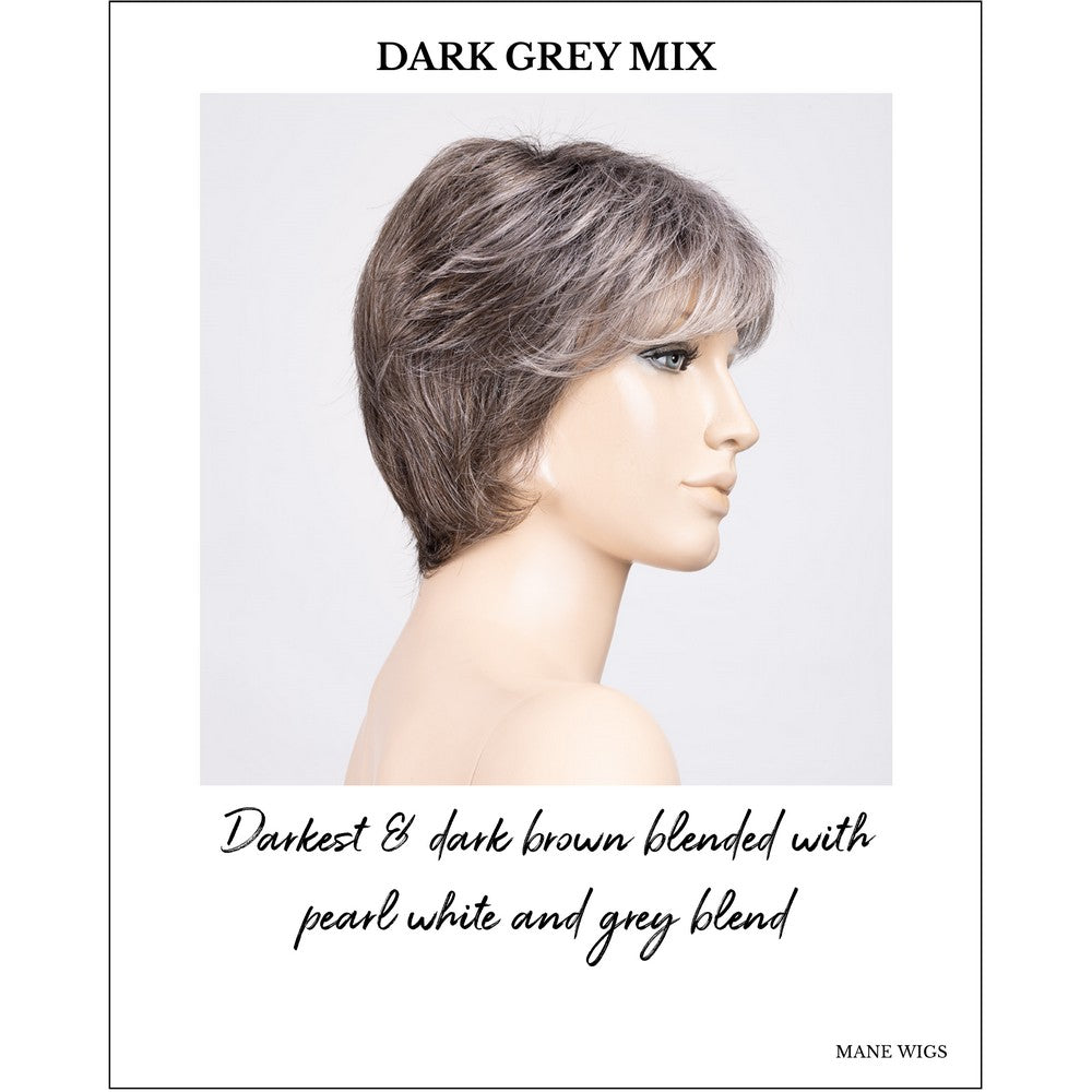 Prima Soft by Ellen Wille in Dark Grey Mix-Darkest & dark brown blended with pearl white and grey blend