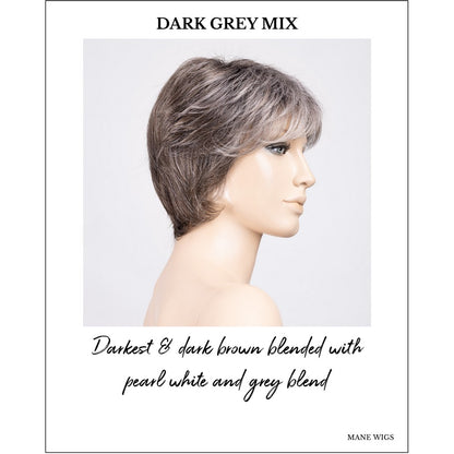 Prima Soft by Ellen Wille in Dark Grey Mix-Darkest & dark brown blended with pearl white and grey blend