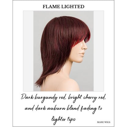 Rainbow by Ellen Wille in Flame Lighted-Dark burgundy red, bright cherry red, and dark auburn blend fading to lighter tips