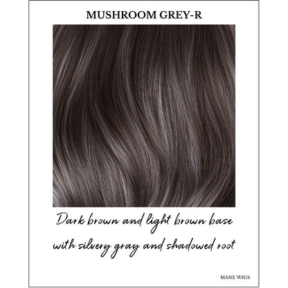 Mushroom Grey-R-Dark brown and light brown base with silvery gray and shadowed root