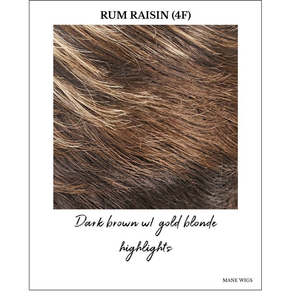 Rum Raisin (4F)-Dark brown w/ gold blonde highlights