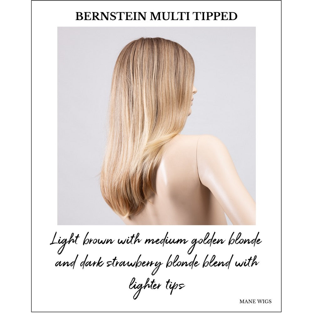 Savelli by Ellen Wille in Bernstein Multi Tipped-Light brown with medium golden blonde and dark strawberry blonde blend with lighter tips