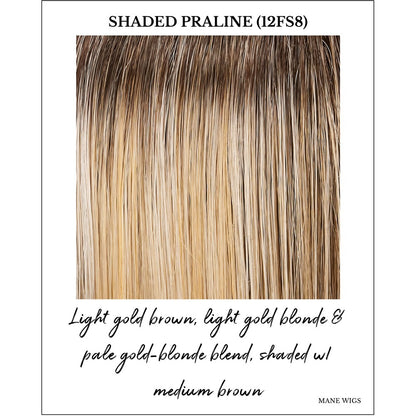 Shaded Praline (12FS8)-Light gold brown, light gold blonde & pale gold-blonde blend, shaded w/ medium brown