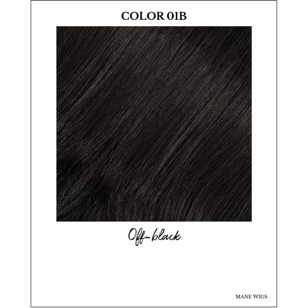 COLOR 01B-Off-black