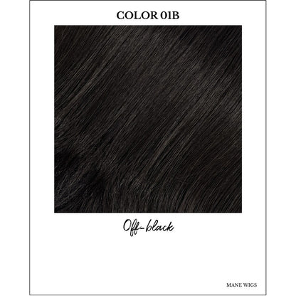 COLOR 01B-Off-black