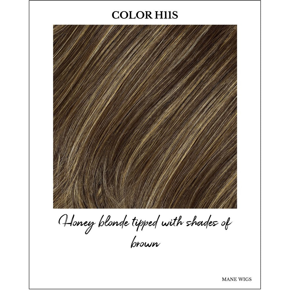 COLOR H11S-Honey blonde tipped with shades of brown